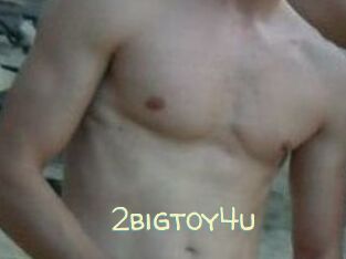 2bigtoy4u