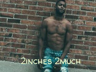 2inches_2much