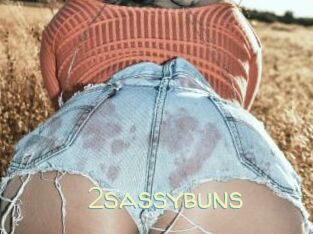 2sassybuns