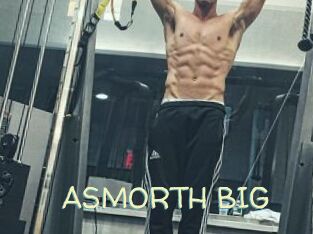 ASMORTH_BIG