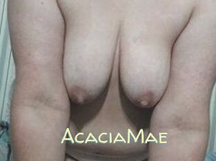AcaciaMae