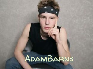 AdamBarns