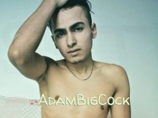 AdamBigCock Sexy Tchat