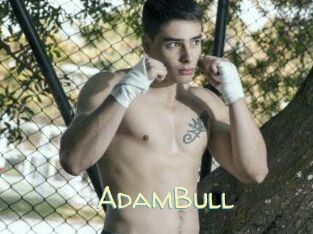 AdamBull