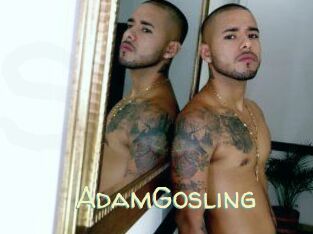 AdamGosling