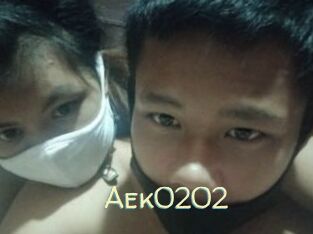 Aek0202