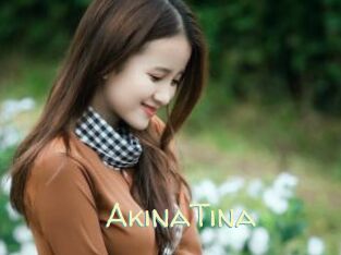 AkinaTina