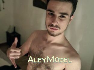 AleyModel