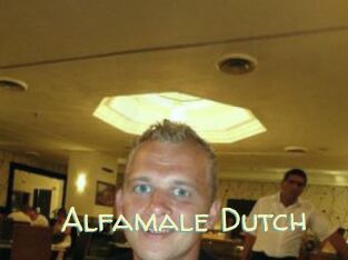 Alfamale_Dutch