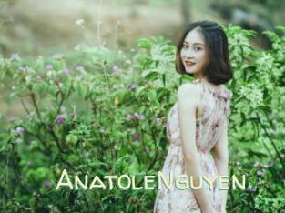 AnatoleNguyen