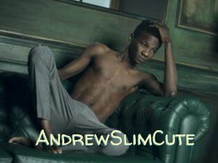 AndrewSlimCute