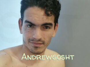 Andrewgosht