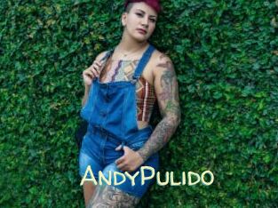 AndyPulido