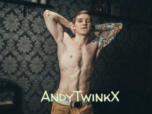AndyTwinkX