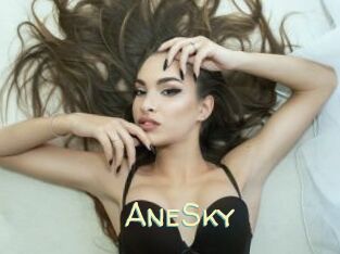 AneSky