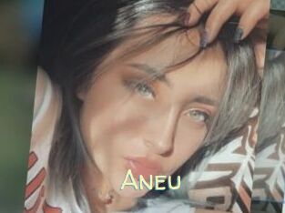 Aneu