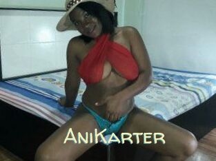 AniKarter