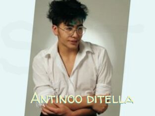 Antinoo_ditella