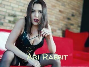 Ari_Rabbit