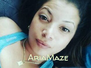 Aria_Maze