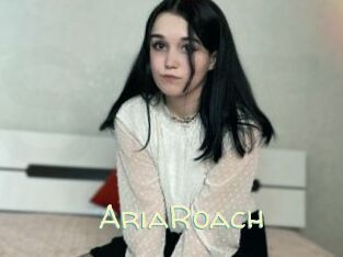 AriaRoach