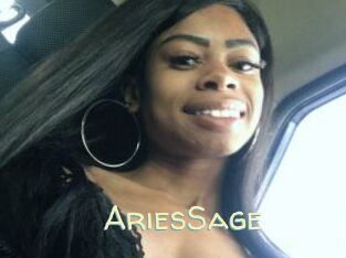 AriesSage