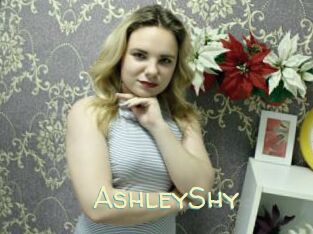 AshleyShy