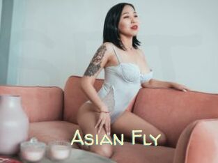 Asian_Fly