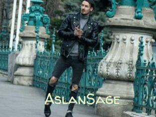 AslanSage