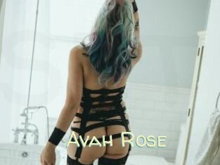 Avah_Rose