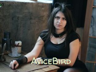 AviceBird
