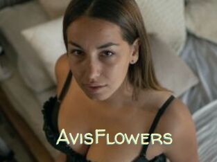 AvisFlowers