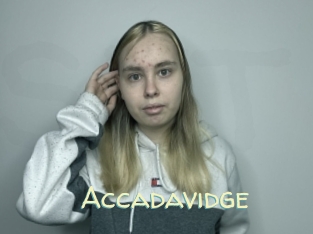 accadavidge Sexy Tchat