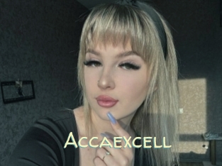Accaexcell