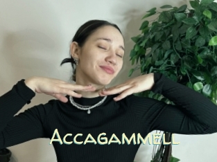 Accagammell