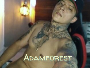 Adamforest