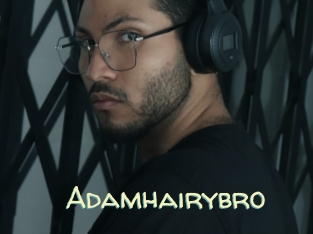 adamhairybro Sexy Tchat