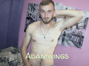 Adamwings
