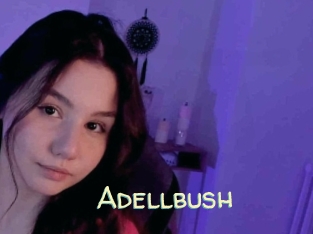 Adellbush