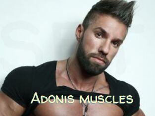 Adonis_muscles