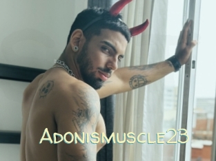 Adonismuscle23
