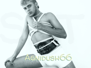 Agnidush66