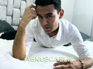 Agnuscaelie