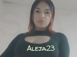 Aleja23