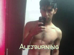 Alejburning