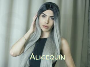 Alicequin