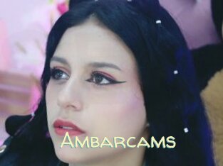 Ambarcams