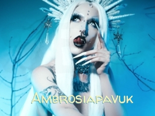 Ambrosiapavuk