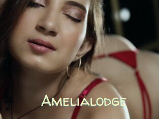 Amelialodge