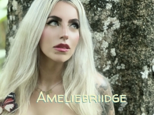 Ameliebriidge